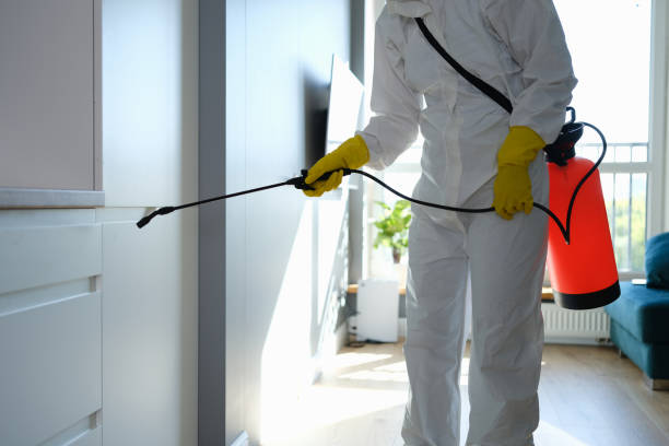 Best Crawl Space Mold Remediation in Port Angeles East, WA